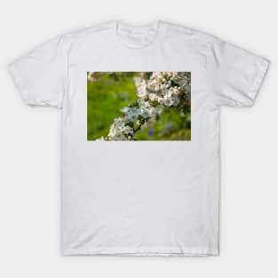 Spring white pear tree flowers on a green field T-Shirt